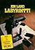 Labyrintti
