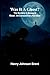 Was it a ghost? The murders in Bussey's wood: An extraordinary narrative