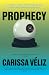 Prophecy: Prediction, Power, and the Fight for the Future, from Ancient Oracles to AI