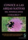 Conoce a las abejas nativas del Totonacapan, Veracruz by Guillermo Vázquez Domínguez