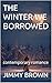 THE WINTER WE BORROWED: contemporary romance
