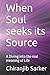 When Soul seeks its Source: A Diving into the real meaning of Life