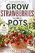 Grow Strawberries in Pots: ...