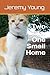 Two Cats, One Small Home