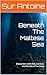 Beneath The Maltese Sea: Encounters with Risk, Survival, and Secrets of the Deep