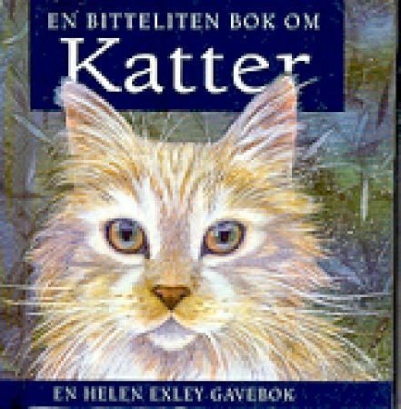 En bitteliten bok om katter (Hardcover)
