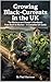Growing Black Currents in the UK