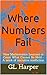 Where Numbers Fail: How Mathematics Learned to Count What Cannot Be Held - A work of narrative nonfiction (Back Porch Mathematics)