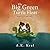 The Big Green Turtle Float