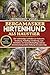 BERGAMASKER HIRTENHUND ALS HAUSTIER: Der vollständige Leitfaden zur Aufzucht, Erziehung, Fellpflege, Ernährung, zum Verhalten, zur Gesundheitspflege ... Haltung ein Leben lang (German Edition)