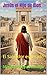 Jesús el Hijo de Dios: El Salvador esperado (Spanish Edition)