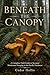 Beneath the Canopy: A Complete Field Guide to Seasonal Mushroom Foraging in the Pacific Northwest