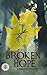 Broken Hope: 5e Inspired, E...