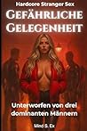Gefährliche Gelegenheit: Unterworfen von drei dominanten Männern | Stranger Sex (German Edition)