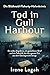 Tod in Gull Harbour: Ein stilles Begräbnis, ein gestohlener Brief und ein Todesfall, der den ganzen Ort aus dem Gleichgewicht bringt. (Die Bláthnaid-Flaherty-Hafenkrimis) (German Edition)