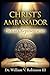 CHRIST’S AMBASSADOR: Heaven’s Representatives on Earth (The Life That Follows)