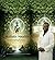 Holistic Health Revolution
