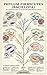 Bacillota: A Comprehensive Study of the Firmicutes Lineage