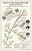 Phylum Aquificae (Aquificota): The Deepest Branching Bacteria