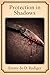 Protection in Shadows (The Shadow Chronicles Book 12)