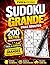SUDOKU GRANDE PARA ADULTOS: 200 RETOS PROGRESIVOS (Spanish Edition)