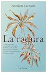 La radura