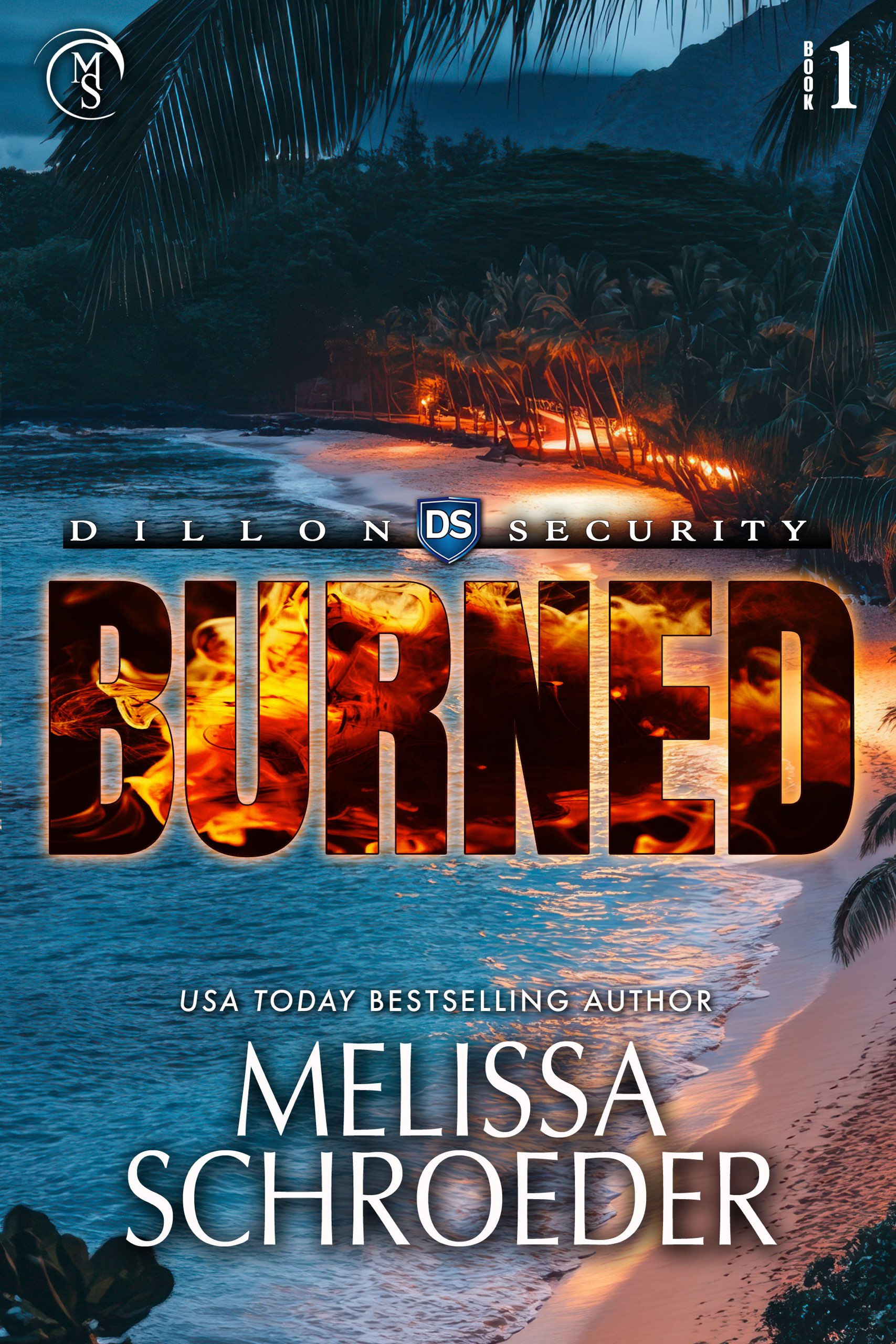 Burned (Dillon Security Book 1)