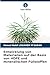 Entwicklung von Materialien auf der Basis von HDPE und mineralischen Füllstoffen (German Edition)