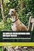 THE COMPLETE ITALIAN GREYHOUND GUIDE: 500 Expert Answers: Explanations, and Breed History for the Devoted Owner (The Complete Dog Guide Series)