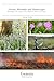 Forests, Wetlands and Flame...