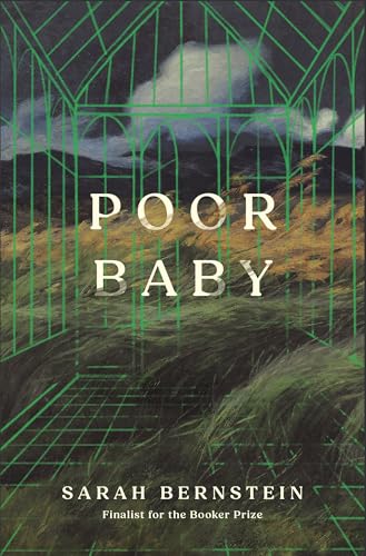Poor Baby (Paperback)