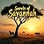 Secrets of Savannah