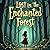 Lost in Enchanted Forest