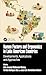 Human Factors and Ergonomics in Latin American Countries: Developments, Applications and Approaches