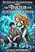 Der Zufällige Alchemistenzirkel: Die Tinktur der flüchtigen Gezeiten Buch 2: Ein Slice of Life Harem Fantasy Abenteuer (German Edition)