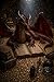 Emergence Protocol (Red Dragon Book 1)