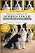 MANUEL COMPLET DU BORDER COLLIE: Un guide pratique du dressage du Border Collie, de son intelligence, de l’exercice, de la nutrition, du toilettage, ... heureux et équilibré (French Edition)