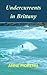 Undercurrents in Brittany (Brittany series Book 6)