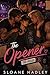 The Opener (The Holler Book 3)