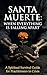 Santa Muerte When Everything Is Falling Apart: A Spiritual Survival Guide for Practitioners in Crisis