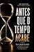 ANTES QUE O TEMPO ACABE: 100 perguntas entre o agora e o nunca (Portuguese Edition)
