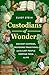 Custodians of Wonder by Eliot Stein