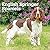 English Springer Spaniels | 2027 12 x 24 Inch (Hanging) Monthly Square Wall Calendar | Plastic-Free | BrownTrout | Animals Dog Breeds