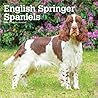 English Springer Spaniels | 2027 12 x 24 Inch (Hanging) Monthly Square Wall Calendar | Plastic-Free | BrownTrout | Animals Dog Breeds
