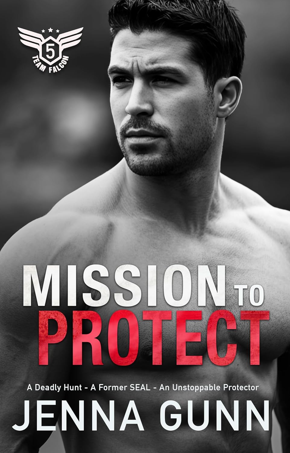Mission to Protect (Team Falcon - Agile Security & Rescue Team 2 #6)
