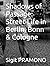 Shadows of Passage: Street Life in Berlin, Bonn & Cologne