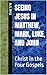 Seeing Jesus in Matthew, Mark, Luke, and John: Christ in the Four Gospels