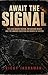 Await the Signal: The Lead Masks Deaths, the Missing Money, and the Murder Question on Morro do Vintém