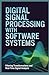 DIGITAL SIGNAL PROCESSING WITH SOFTWARE SYSTEMS: Filtering Transformations and Real Time Signal Analysis