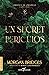 Un secret periculos by Morgan Bridges